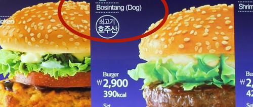 dog-meat-burger.jpg