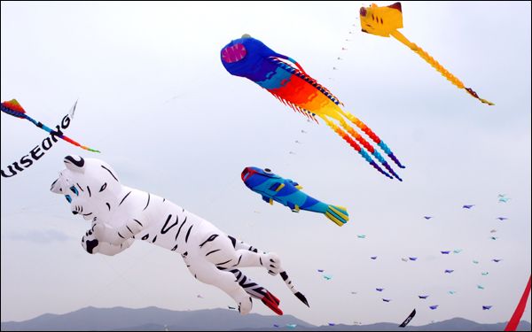 kite-festival.jpg