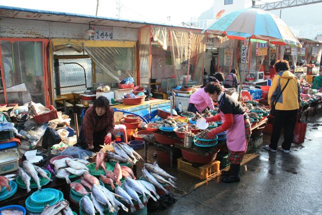 Women-working-at-Jagalchi-fish-market-Busan.jpg